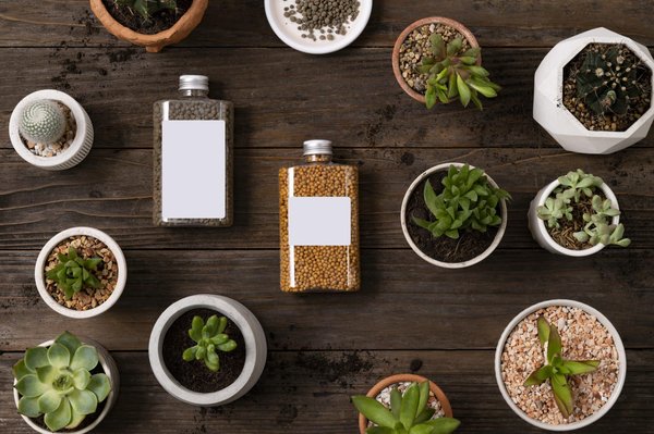 Quels sont les critères à considérer pour une création de packaging originale ?