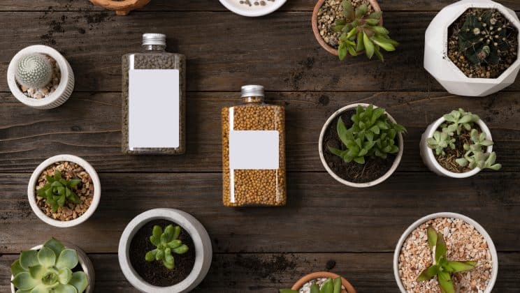 Quels sont les critères à considérer pour une création de packaging originale ?