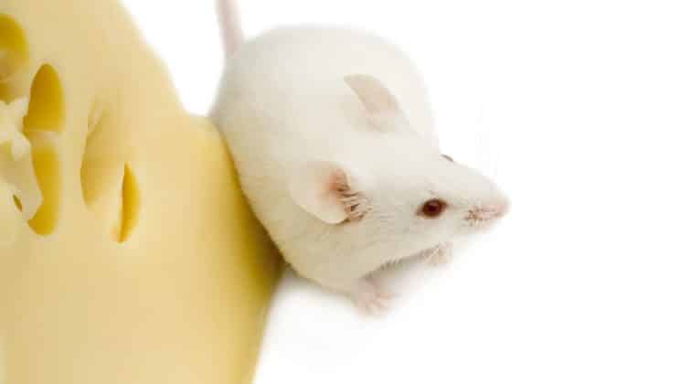 La recherche d’un grossiste pour friperie : comment s’y prendre ?